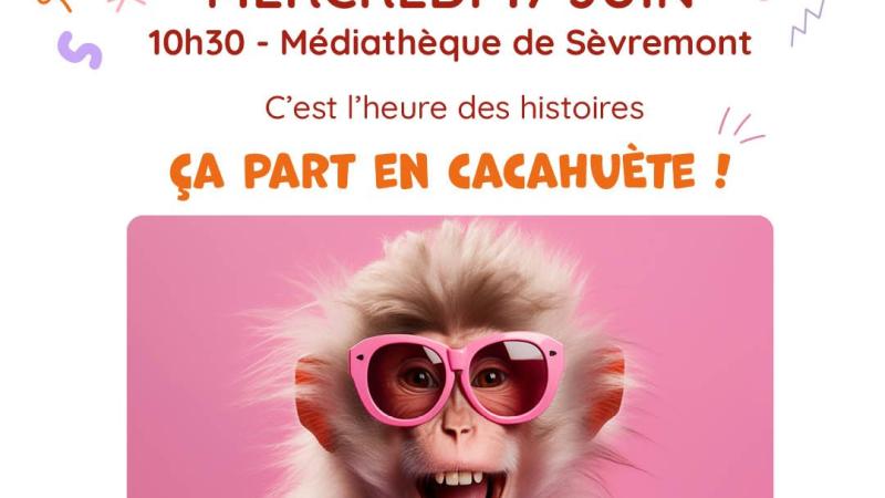 Mercredi Conté