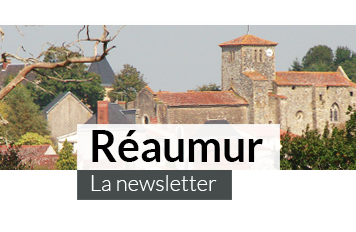 haut-newsletter