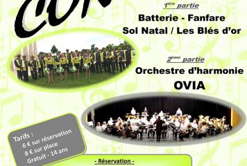 Concert 1er avril 2017 BF-OVIA