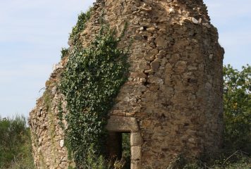 ruine