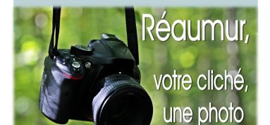 Concours photo