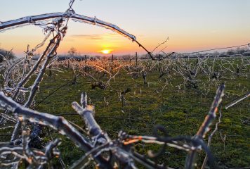 Résultat du concours photo “Un hiver à Réaumur”