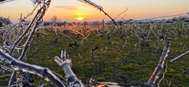 Résultat du concours photo “Un hiver à Réaumur”