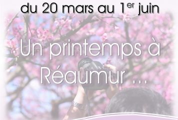 C’est le printemps – Nouveau concours photo