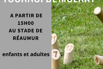 Tournoi de Mölkky