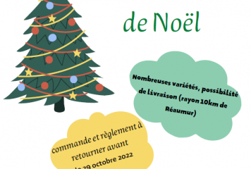 Vente de Sapins de Noël