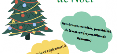 Vente de Sapins de Noël