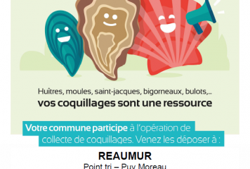 Collecte des coquillages du 1er décembre au 31 janvier 2023